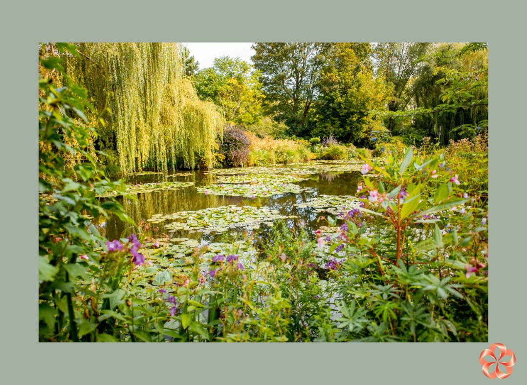 Мимолетность красоты